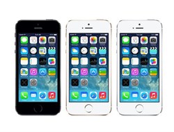 Смартфон Apple iPhone 5s 16Gb Space Gray (серый космос) Новый- оф. гарантия Apple - фото 10845