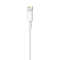 Оригинальный кабель Apple Lightning USB  iPhone, iPod, iPad 100 см (MD818ZM/A) - фото 10206
