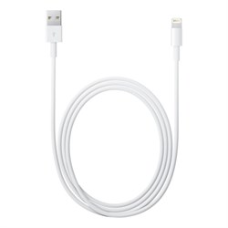 Оригинальный кабель Apple Lightning USB  iPhone, iPod, iPad 100 см (MD818ZM/A) - фото 10209