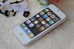 Пластиковый чехол со стразами Girl Flowers Orange для iPhone 5