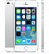 Смартфон Apple iPhone 5s 16Gb Silver (ME433RU/A) - фото 10856