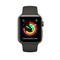 Apple Watch Series 3 42mm "Space Gray" - фото 24419