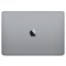 Apple MacBook Pro 13"; i5 2.3Гц/8/512Гб, "Space Grey" (MR9R2) - фото 24561